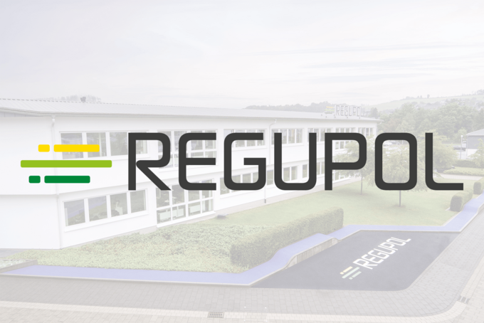 REGUPOL BSW GmbH spun off its entire operations and transferred them to REGUPOL Germany GmbH & Co. KG